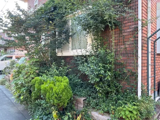 草むしり年間実績1200件のベテランスタッフが対応☆オンラインカード決済対応店☆サービスの画像