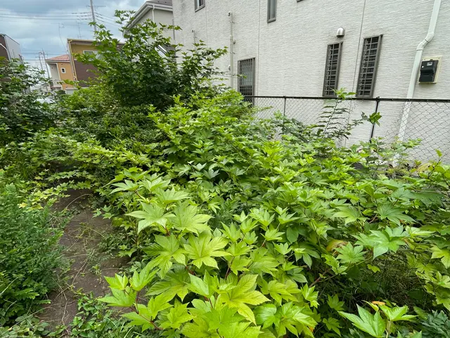 草むしり年間実績1200件のベテランスタッフが対応☆オンラインカード決済対応店☆サービスの画像