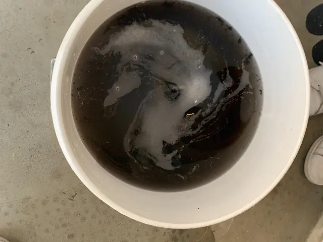 【カビを高圧洗浄で一掃！】次回清掃のタイミングの確認方法やカビ予防などもご案内☆サービスの画像