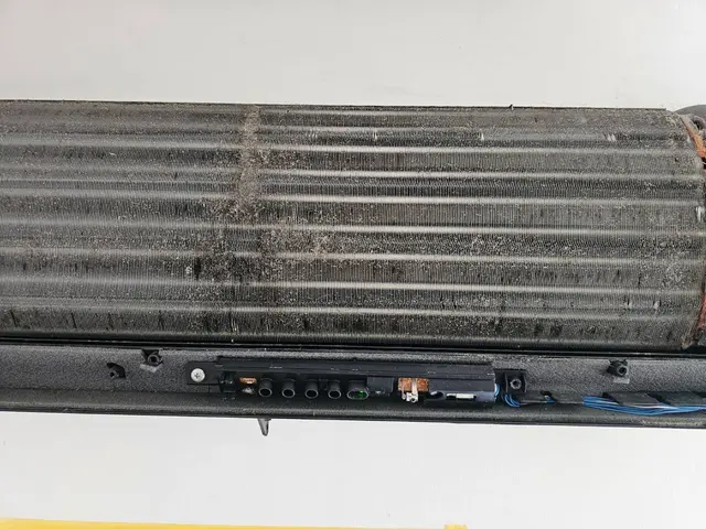 丁寧な作業を心掛けてお手入れさせて頂きます。サービスの画像