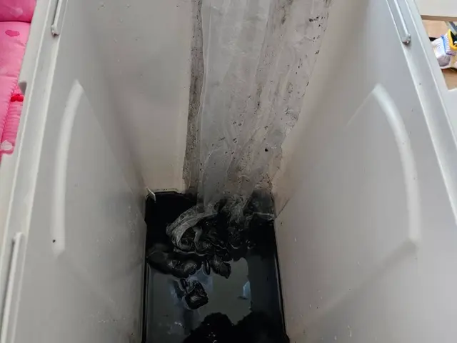 丁寧な作業を心掛けてお手入れさせて頂きます。サービスの画像