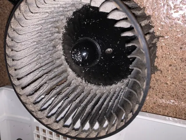 追加料金一切なし！汚れを落として快適な空間に／トイレクリーニングはお任せくださいサービスの画像