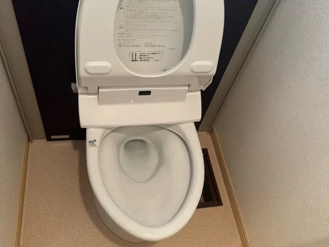 【大掃除を楽に！】プロの技で蘇る！水回り5点セット驚きの仕上がりサービスの画像