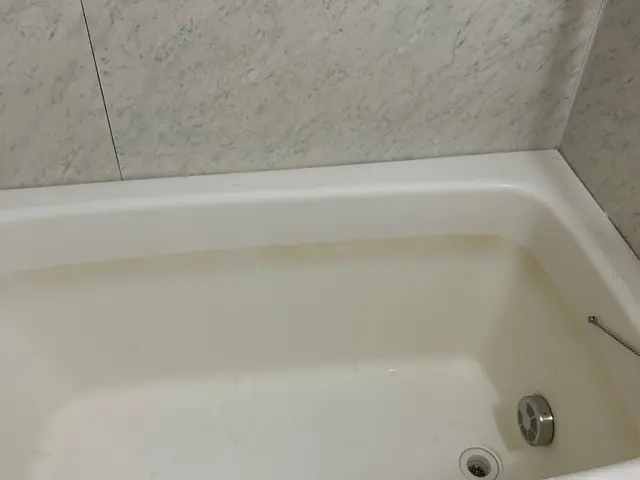 【新規出店キャンペーン！】至福のクリーニング！今月空きあり！サービスの画像