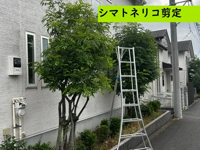 ピーク時の特別価格です。すっきり・さっぱり！お庭のお手入れサービスの画像