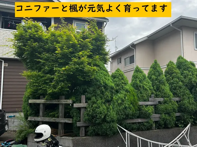 ピーク時の特別価格です。すっきり・さっぱり！お庭のお手入れサービスの画像