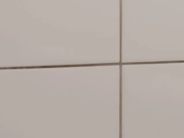 【ハウスクリーニング技能士在籍】業界実績20年★徹底的に汚れを落とします！サービスの画像