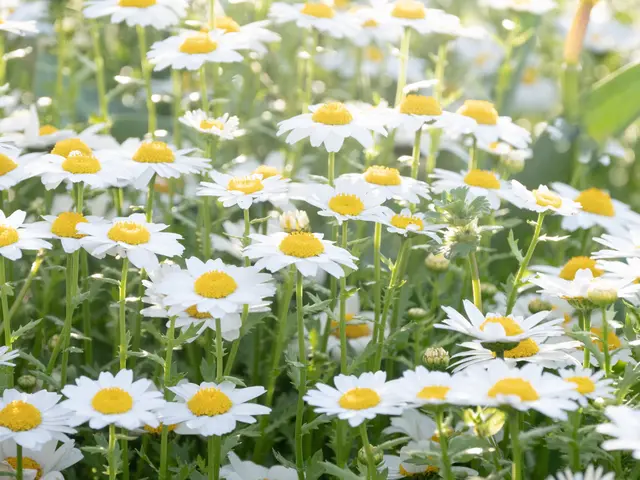 出張カメラマン　家族写真やウェディングフォト、プロフィール写真対応