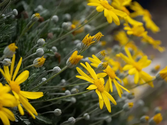 出張カメラマン　家族写真やウェディングフォト、プロフィール写真対応