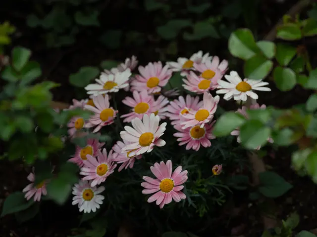 出張カメラマン　家族写真やウェディングフォト、プロフィール写真対応