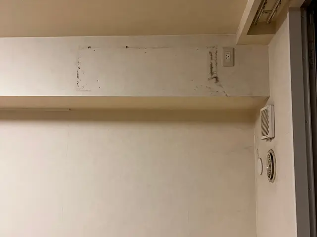 最短で8月12日で予約受付中。予約枠9時13時16時でサービスの画像