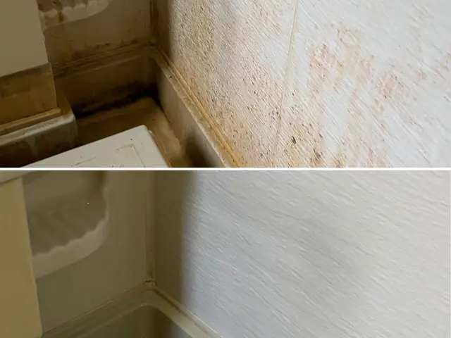 三重県限定！！エプロン内洗浄もOK!カビ.水垢.ウロコもスッキリ！サービスの画像