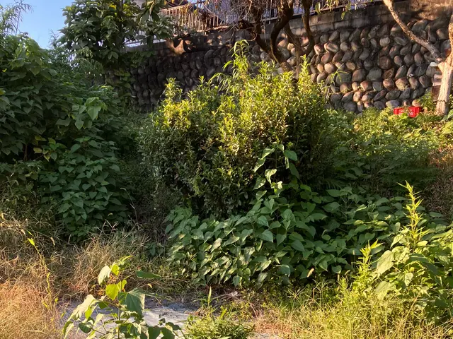 15年以上の実績！難しい地形も丁寧施工で大満足　　写真で見積もりできますサービスの画像