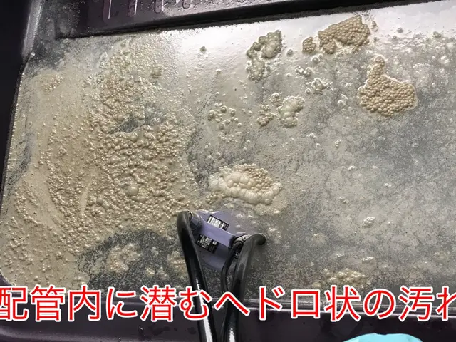 赤ちゃんの誕生までに急いで済ませたい風呂釜洗浄★黒い汚れや臭いは危険サインですサービスの画像