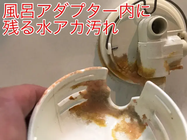 赤ちゃんの誕生までに急いで済ませたい風呂釜洗浄★黒い汚れや臭いは危険サインですサービスの画像