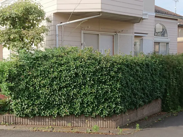 【1/28～◎】◇一級造園技能士◇料金追加なし！業歴17年サービスの画像