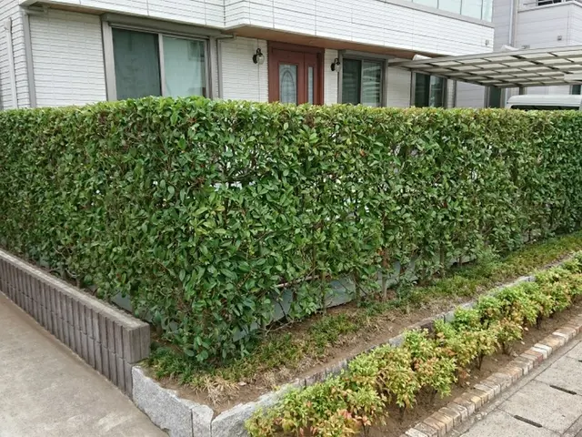 【1/28～◎】◇一級造園技能士◇料金追加なし！業歴17年サービスの画像