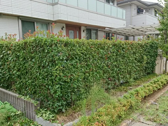 【1/28～◎】◇一級造園技能士◇料金追加なし！業歴17年サービスの画像