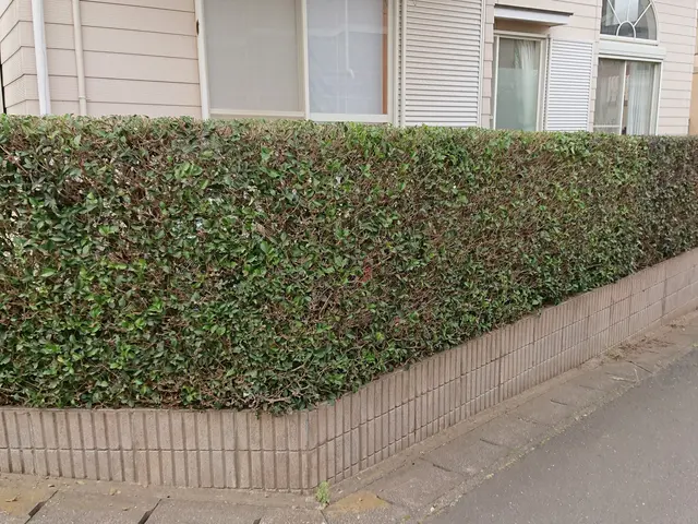 【1/28～◎】◇一級造園技能士◇料金追加なし！業歴17年サービスの画像