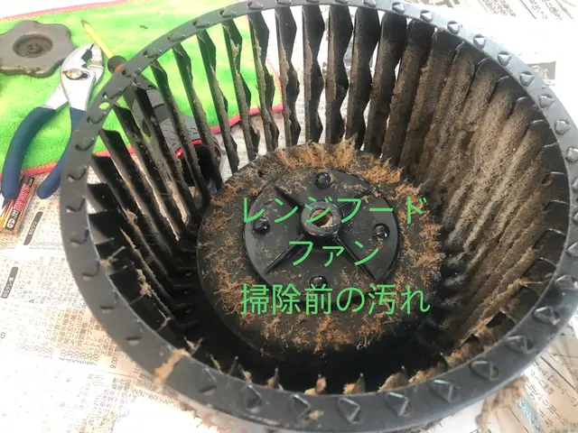 ★大手出身のクリーニングプロが、作業前後の違いをしっかりとお見せします。サービスの画像