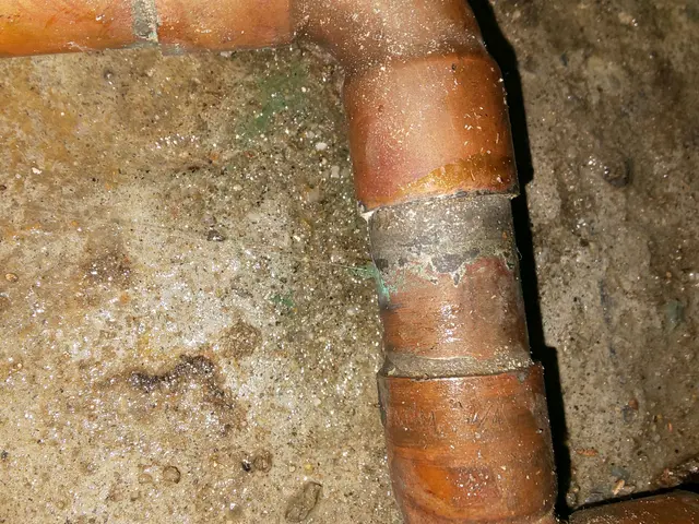 名古屋市発【年中無休】土日祝もご予約大歓迎！駐車代お店負担！損害保険加入店サービスの画像