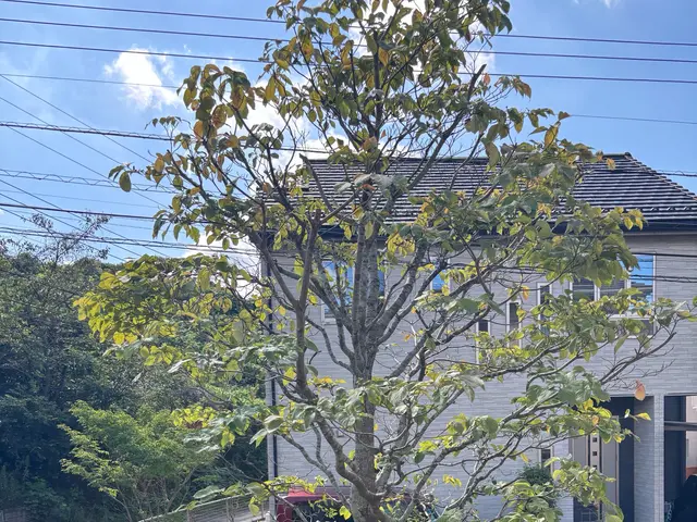 【業界経験35年越】1万本~以上。美しい庭園を創造する匠の技サービスの画像