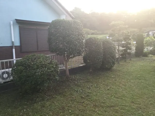 【業界経験35年越】1万本~以上。美しい庭園を創造する匠の技サービスの画像