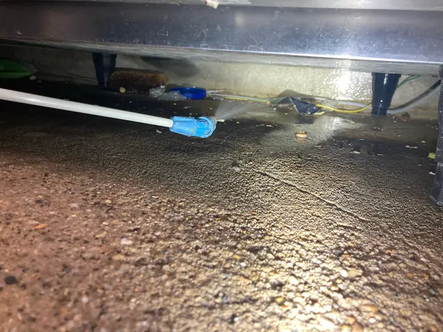 【天然薬剤で子供・ペットも安心】★専用ムースで巣の駆除・予防★5年連続受賞★関西サービスの画像