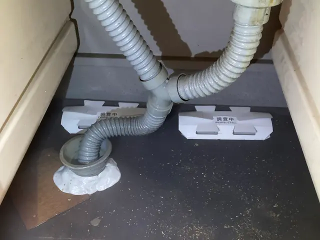 【天然薬剤で子供・ペットも安心】★専用ムースで巣の駆除・予防★5年連続受賞★関西サービスの画像