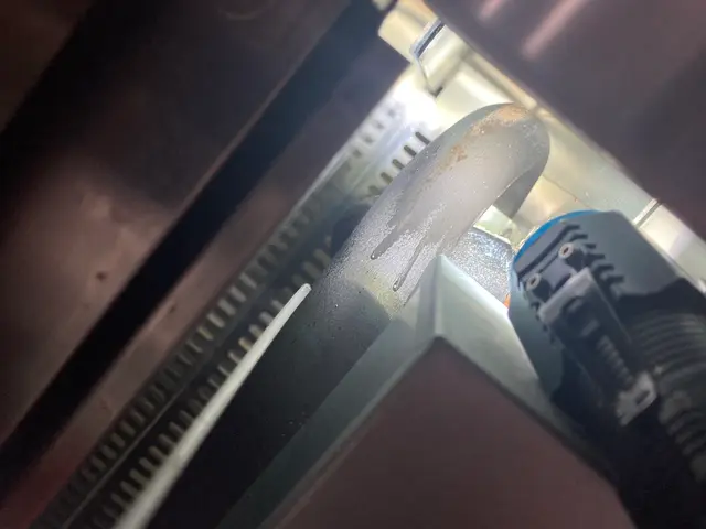 【天然薬剤で子供・ペットも安心】★専用ムースで巣の駆除・予防★5年連続受賞★関西サービスの画像