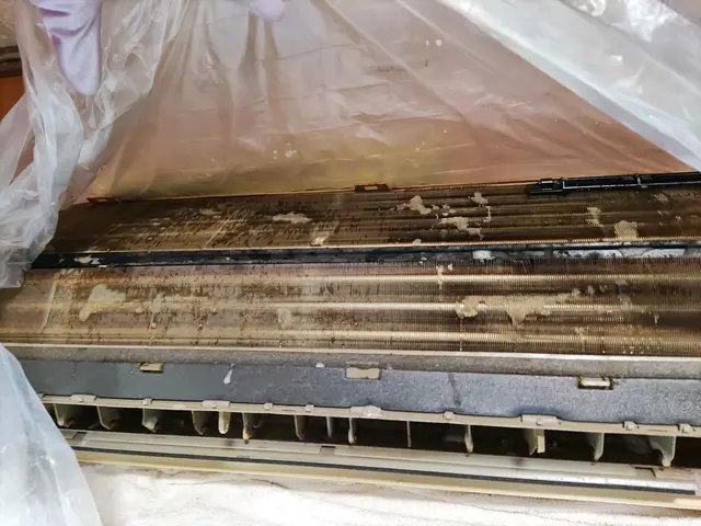 年中無休★PayPay可★元気な女性店長が伺いします・大阪府内、兵庫県内一部対応サービスの画像