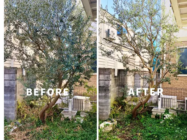 剪定の先に、心地よい暮らしを。サービスの画像