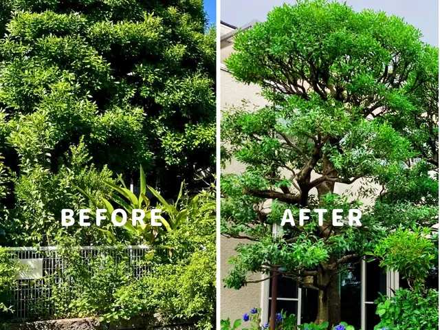 剪定の先に、心地よい暮らしを。サービスの画像