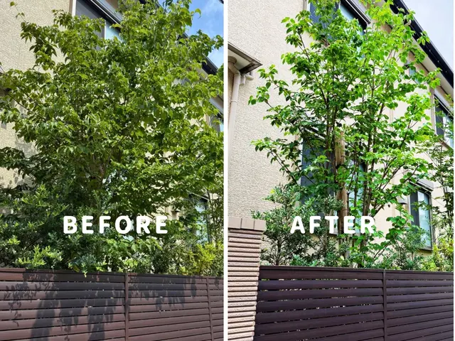 剪定の先に、心地よい暮らしを。サービスの画像