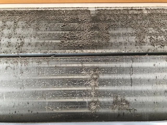 大手電気量販店で活躍中♪夫婦で対応☆損保自社加入！2台以上は1台6000円♪サービスの画像