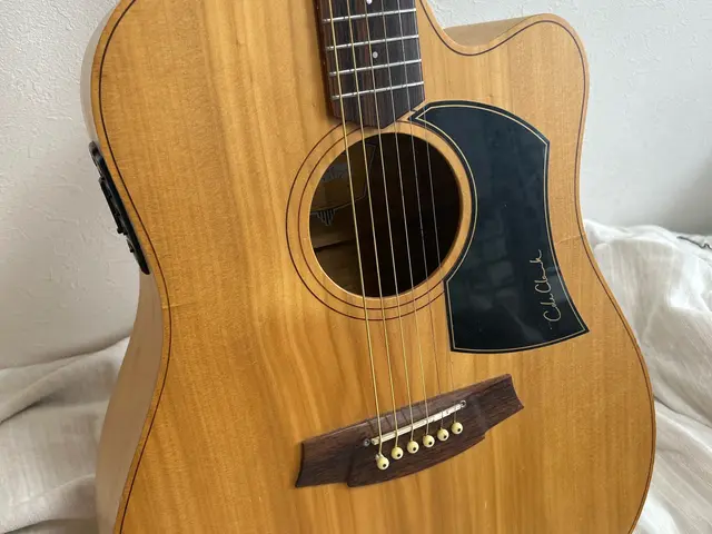 ギター、ベース、のクリーニングメンテナンスサービスの画像