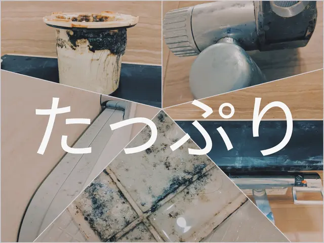 【一日お一人様限定の集中クリーニング】駐車場代不要！年内受付終了サービスの画像