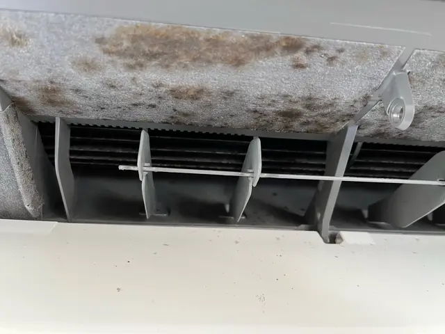 女性スタッフが丁寧に対応！損害保険加入済み★安心と信頼の実績サービスの画像