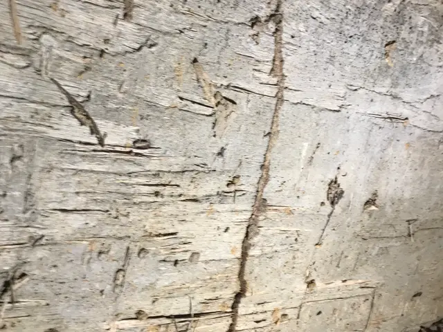 【業界歴30年以上】迅速丁寧な調査と施工をいたします！安心してご相談ください。サービスの画像