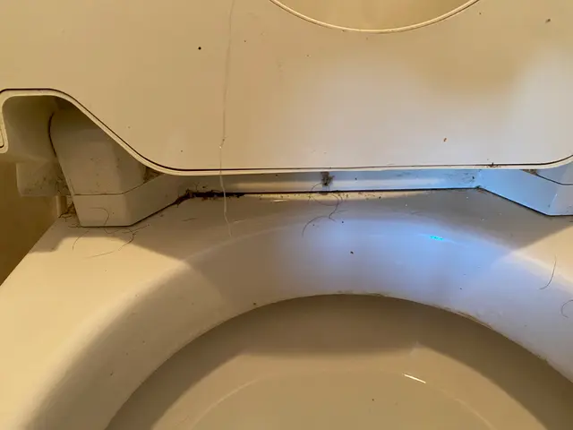 夫婦２人でお伺い。お掃除のお悩み事もお聞きします(*^^*)サービスの画像