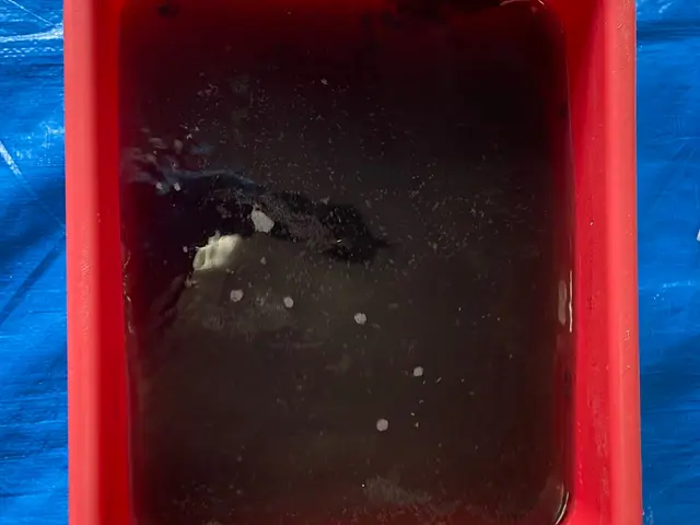 ◆複数台割引あり！◆予約から施工まで100%自社対応◆仕上がり保証あり！サービスの画像