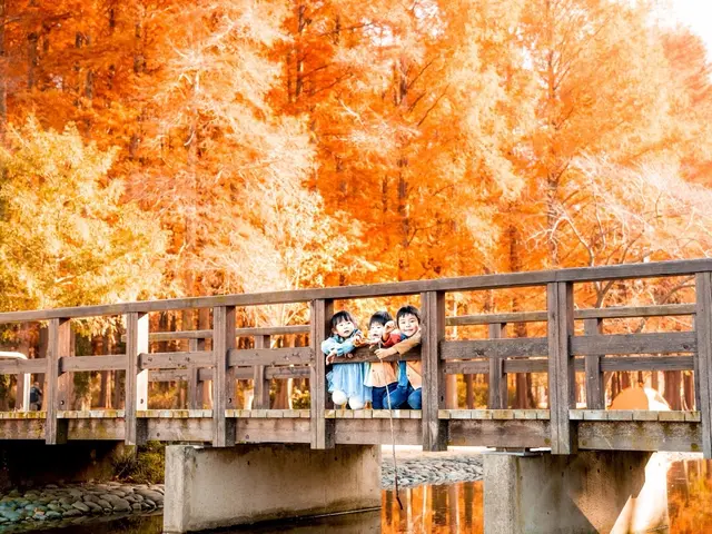 おうちフォトスタジオ運営のママカメラマンが撮影！安心のロケーション撮影サービスの画像