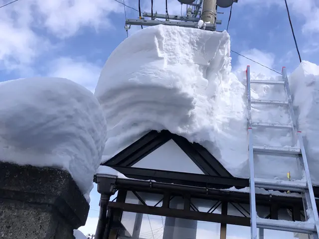 軽トラックでの排雪いたします！サービスの画像