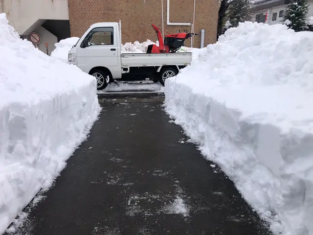 軽トラックでの排雪いたします！サービスの画像