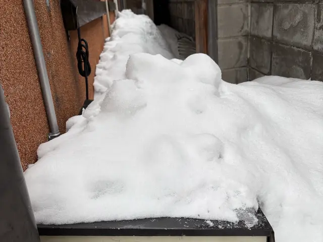 雪でお困りの際には お力になれる！かもしれません まずは「お客様へのお願い」確認サービスの画像