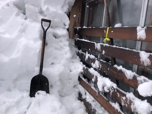 軽トラックでの排雪いたします！サービスの画像
