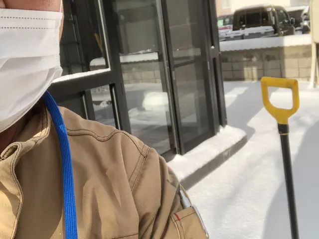 軽トラックでの排雪いたします！サービスの画像