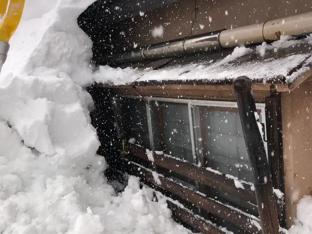 軽トラックでの排雪いたします！サービスの画像