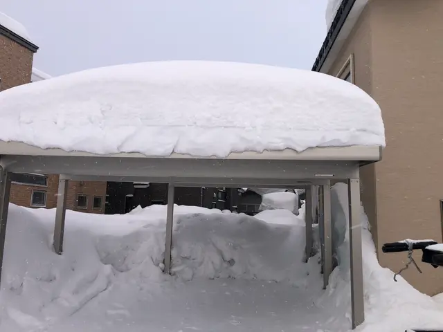 軽トラックでの排雪いたします！サービスの画像