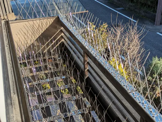 《害虫・害獣駆除》当日OK！24時間急行致します!お気軽にお問い合わせ下さい。サービスの画像